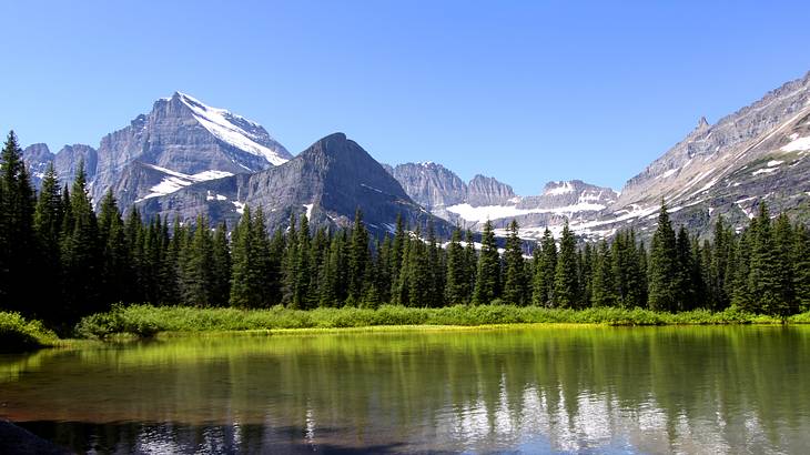 A lake with trees and a snow-capped mountain behind it under a blue sky
