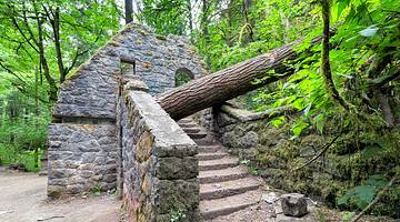 Looking towards stairs to an old stone house with a collapsed tree on it