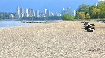 A sandy beach with the ocean, trees, and high rise buildings behind it
