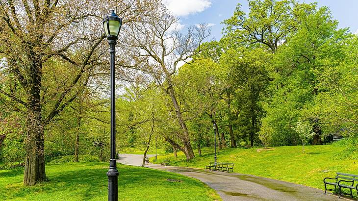 A park with green grass and trees, a path, and a lamppost
