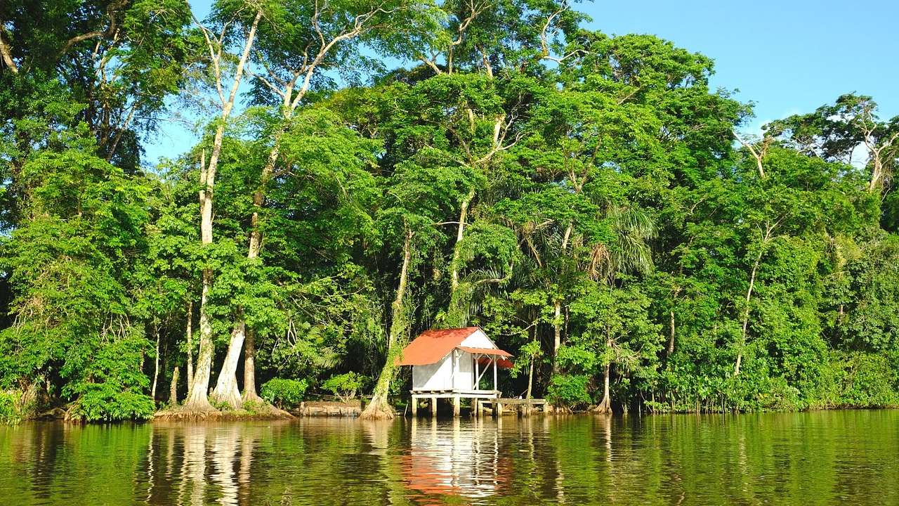 A green river with a small hut and green trees on the shore