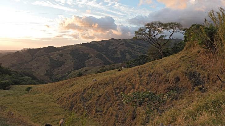 A landscape view of greenery-covered mountains in Monteverde Cloud Forest