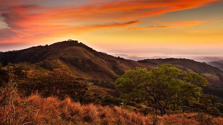 A greenery-covered mountain under an orange sky at sunset