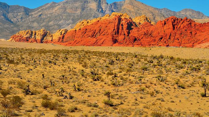 Red rock mountains with desert sand and a bit of greenery in front under blue sky