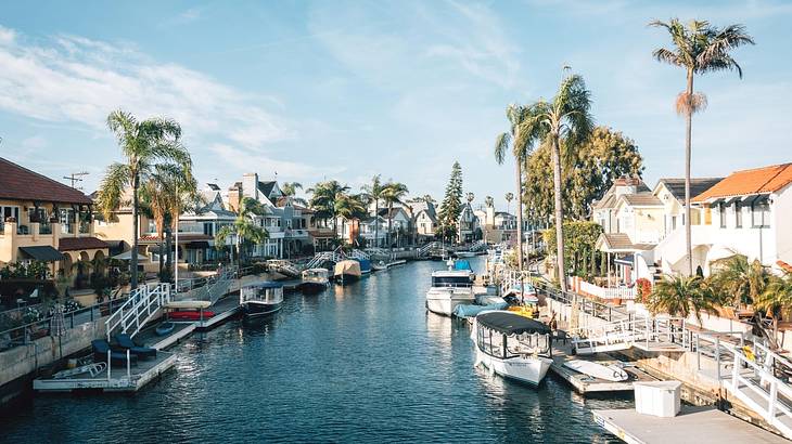 A canal with boats on it and houses and palm trees on the shore A canal with boats on it and houses and palm trees on the shore
