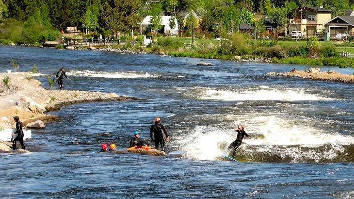 A river with several surfers on it against a riverbank with green bushes & trees