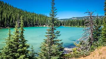 Looking at a blue lake surrounded by hills with lush green trees under a blue sky