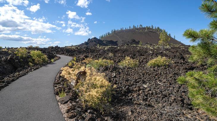 Looking at black volcanic rocks with some vegetation and a lava butte at the far back