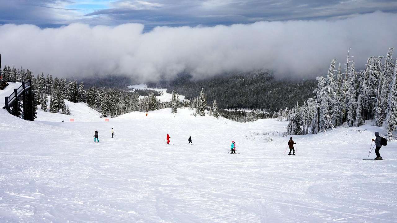 A descending snowy slope with several skiers surrounded by snowy alpine trees