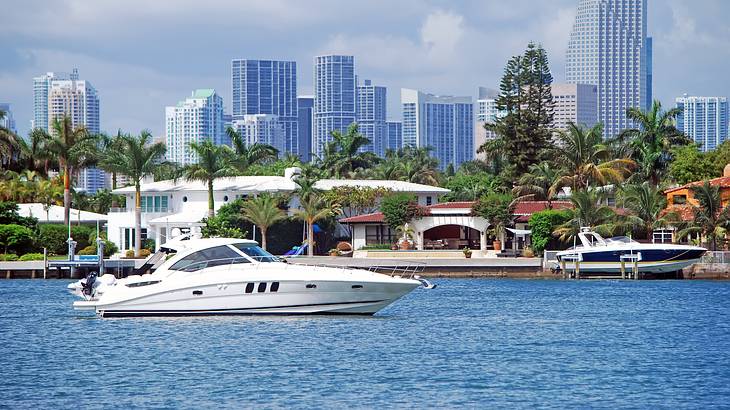 A boat on the water with palm trees and a skyline in the background