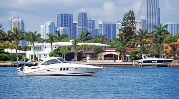 A boat on the water with palm trees and a skyline in the background