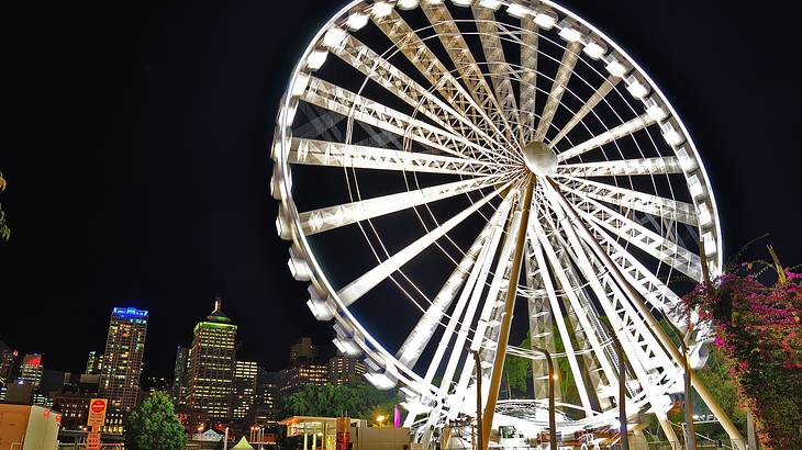 The Wheel of Brisbane The Wheel of Brisbane