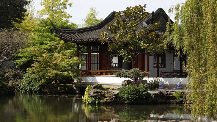 Dr Sun Yat Sen Classical-Chinese Gardens