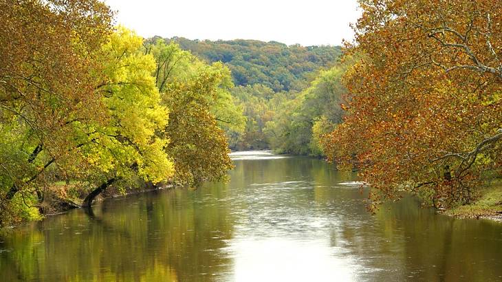 A river surrounded by fall foliage against a mountain with trees