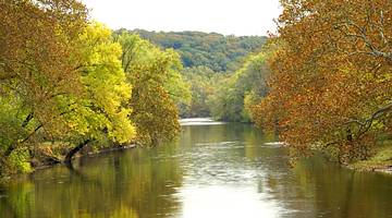 A river surrounded by fall foliage against a mountain with trees