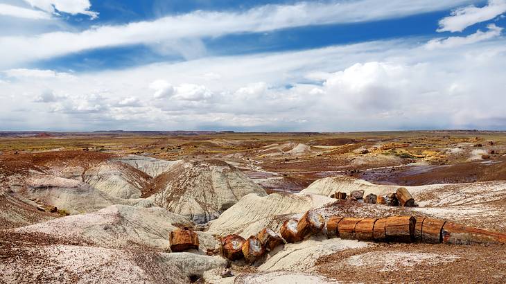 A rugged brown landscape with some petrified wood pieces under a partly cloudy sky