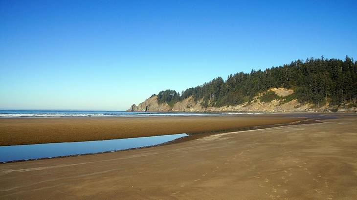 A sandy shore with a pool of water on it, the ocean in the distance, and a green hill A sandy shore with a pool of water on it, the ocean in the distance, and a green hill