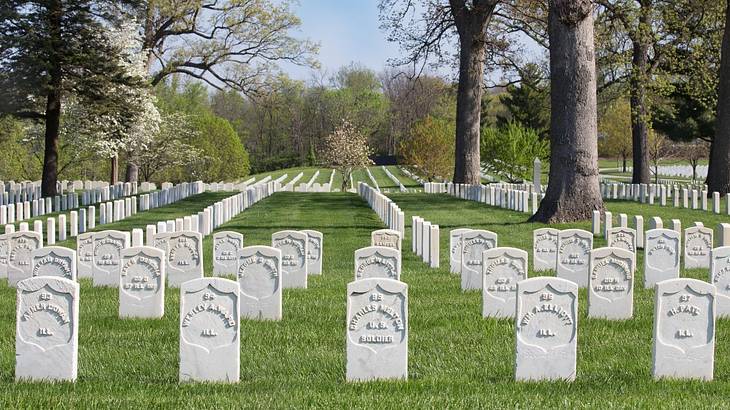 Green grass with white gravestones and trees on it, stretching into the distance Green grass with white gravestones and trees on it, stretching into the distance