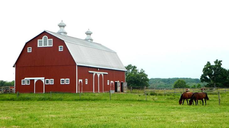 A red barn with white roof in a field with two horses grazing
