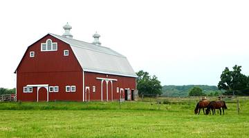 A red barn with white roof in a field with two horses grazing