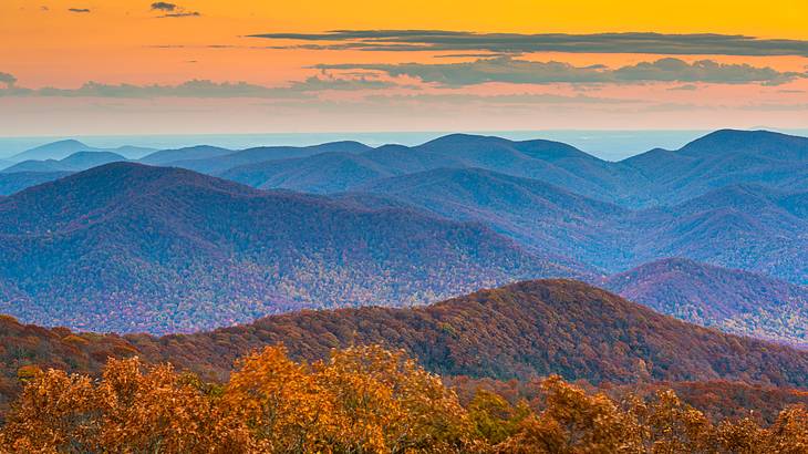 Mountain ranges covered with red and orange trees against a sunset sky