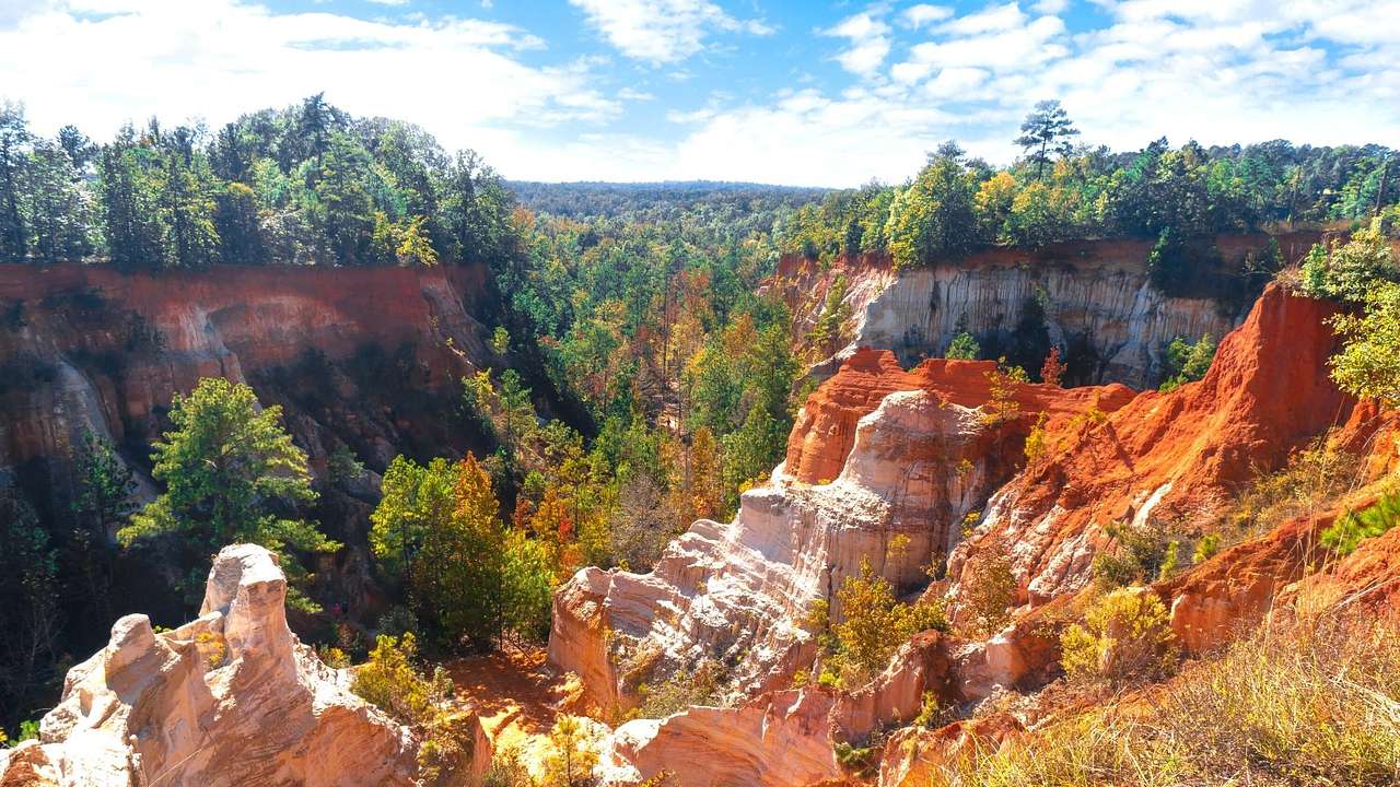 A rugged limestone and red rock terrain surrounded by trees on a clear day