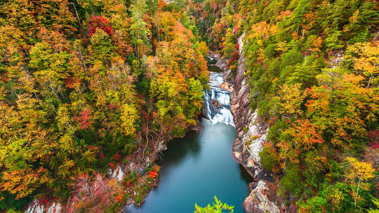 Aerial view of a waterfall flowing into a gorge surrounded by autumn trees