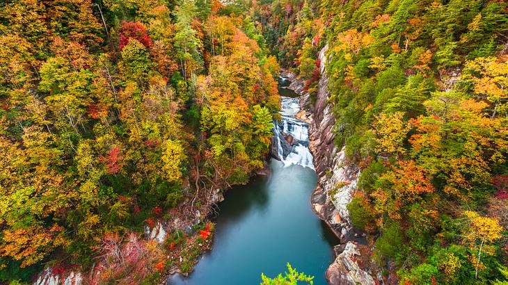 Aerial view of a waterfall flowing into a gorge surrounded by autumn trees