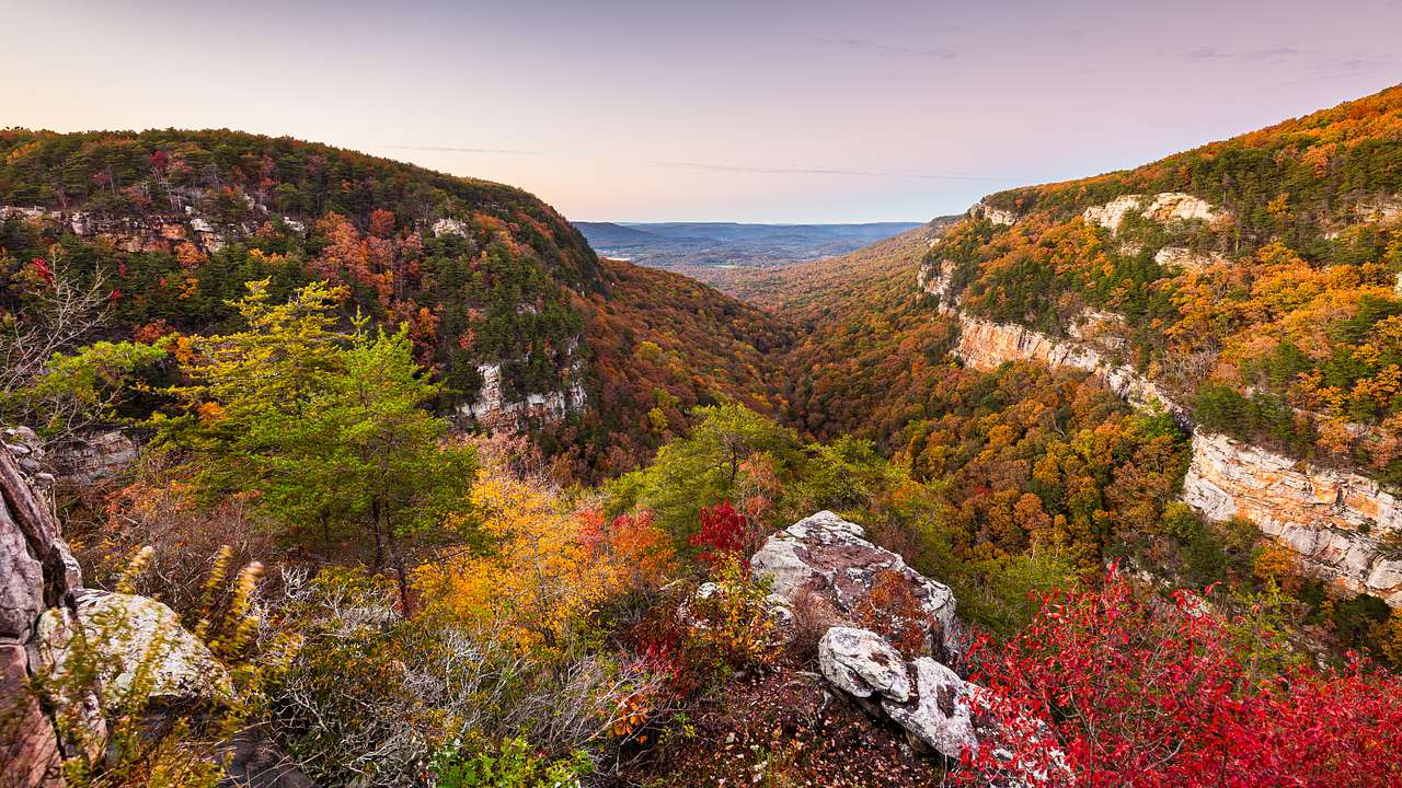 A mountain top covered with colorful vegetation and autumn trees under an evening sky