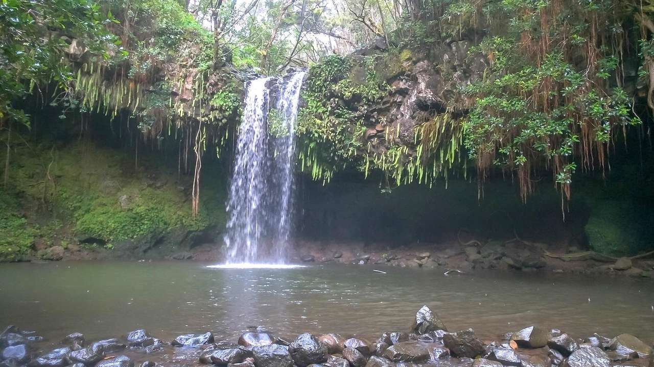 A waterfall flowing over greenery into a pool with rocks around it