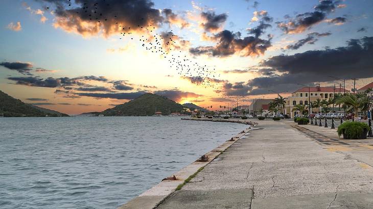 A path next to a bay with buildings on the other side at sunset