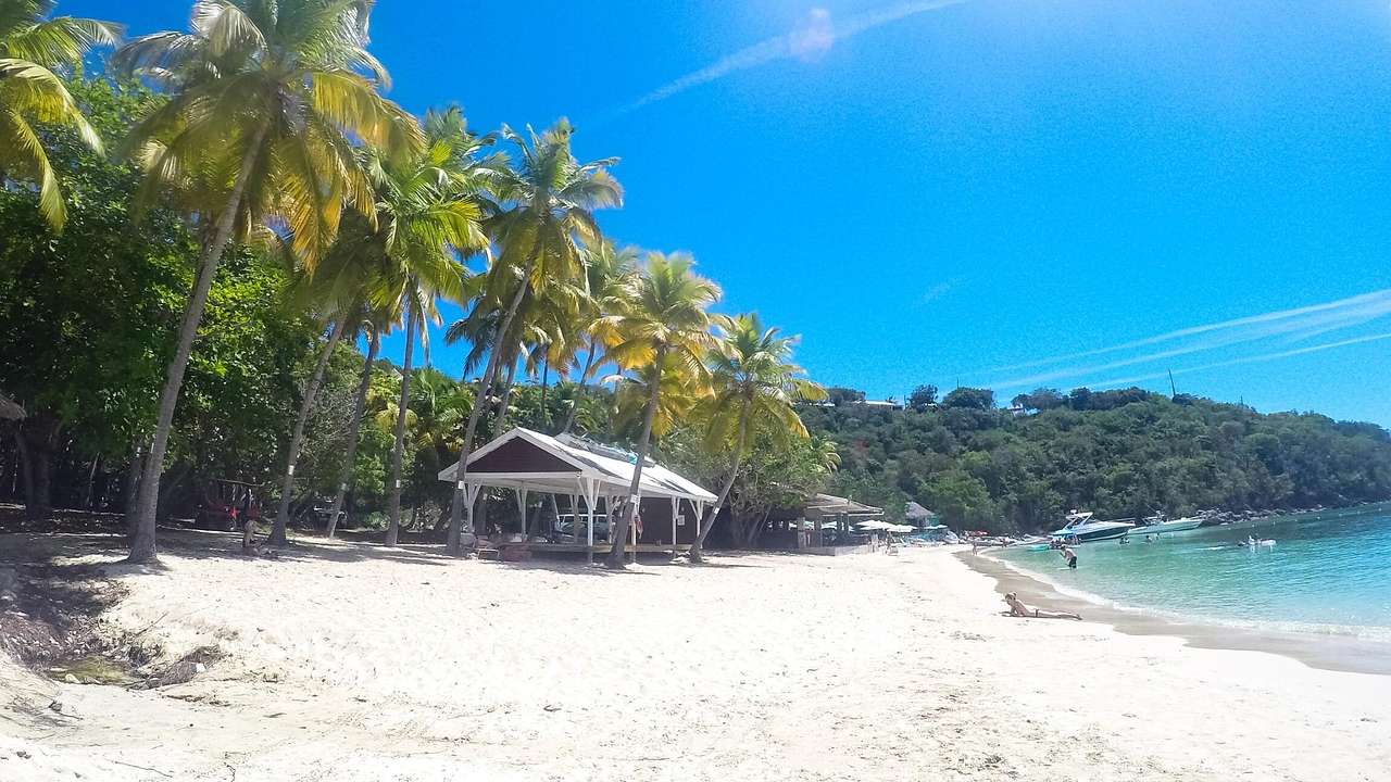 A white sand beach with ocean, palm trees, and greenery-covered hills