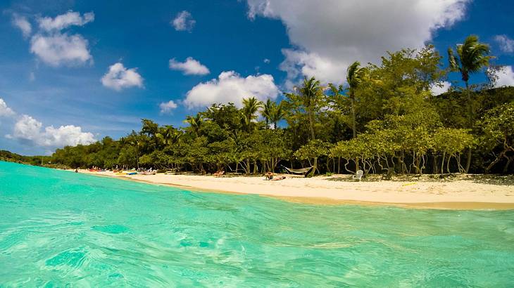 A beach and palm trees as seen from the ocean