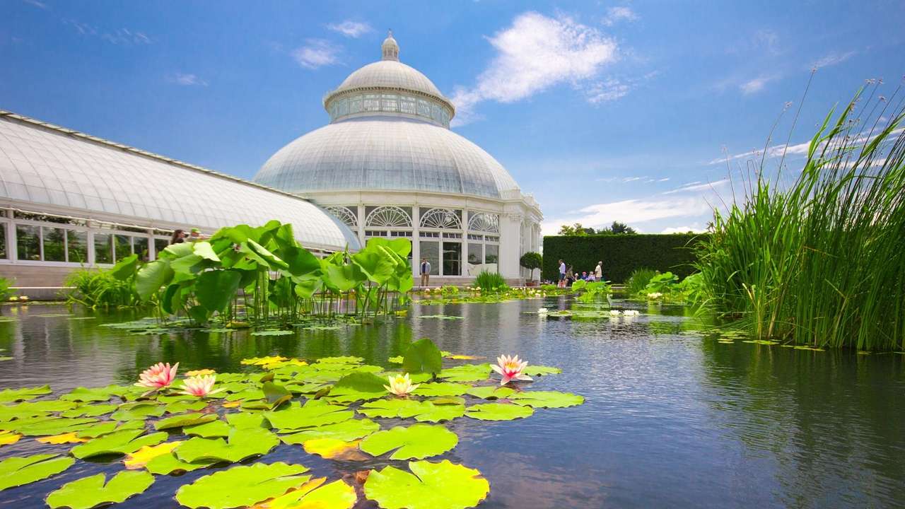 One of the best outdoor activities in NYC is going to the New York Botanical Garden