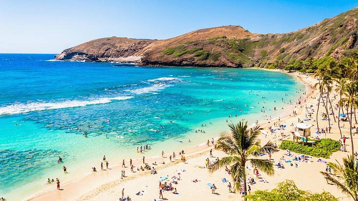 Sparkling blue water next to a sandy beach with people and palm trees on it