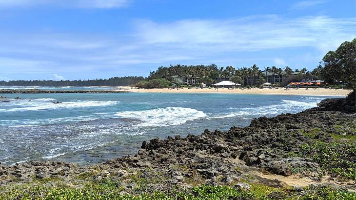 Some of the best snorkeling in Oahu, Hawaii, can be found at Kuilima Cove