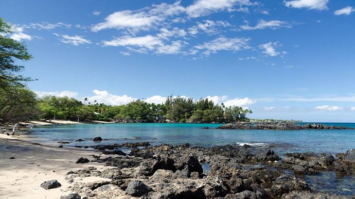 Turquoise sea with black rocks, sand, and green trees to the side of it