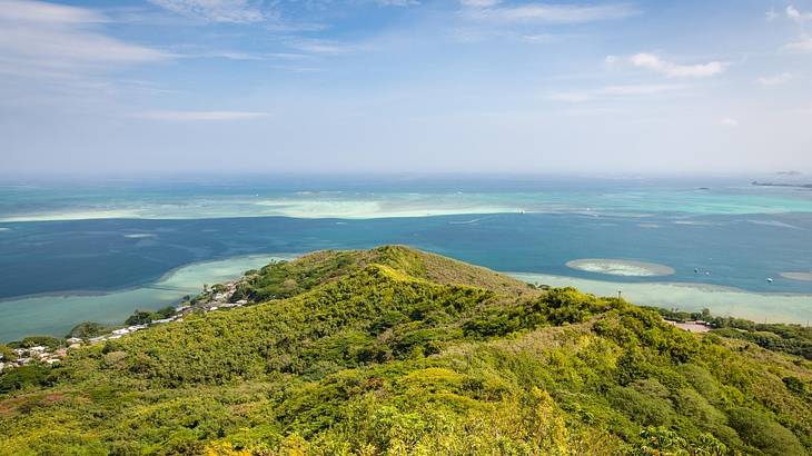 Sandbars in the sea and a greenery-covered hill in the foreground