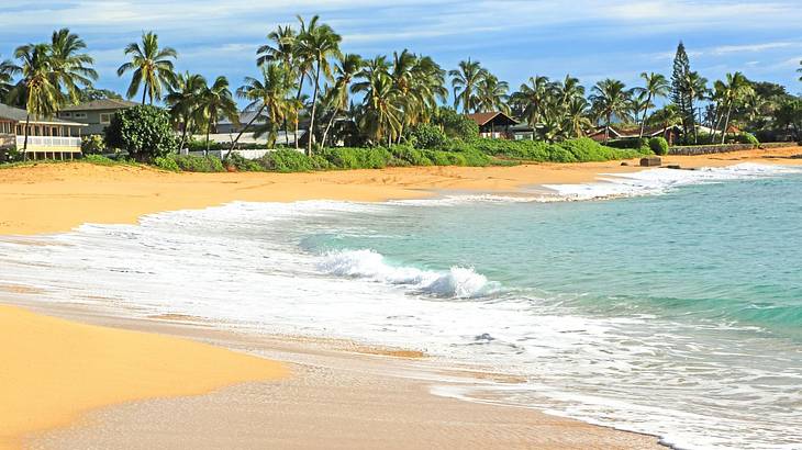 A beach with waves crashing onto the shore and palm trees in the background