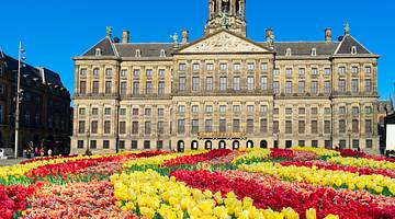 Royal Palace in Amsterdam with Tulips