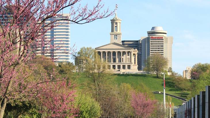 A park with a state capitol building on a hill and pink and green trees in front