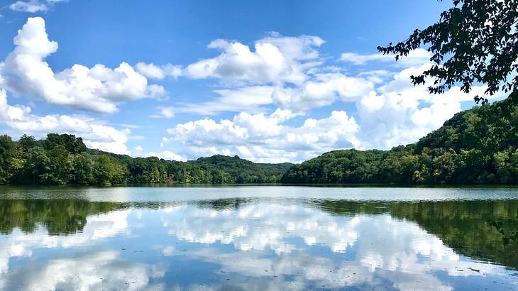 A lake with trees around it under a blue sky with clouds
