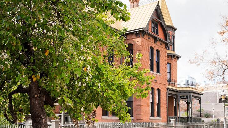 A green tree against a Victorian-style brown house with a white roof A green tree against a Victorian-style brown house with a white roof