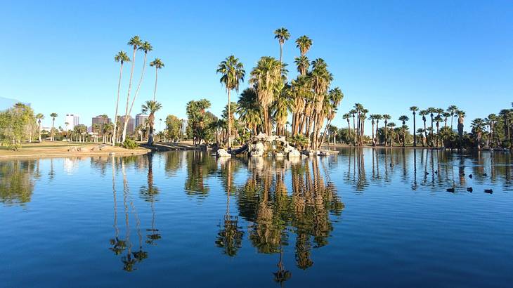 A reflective blue lake with palm trees at the far back under a clear blue sky