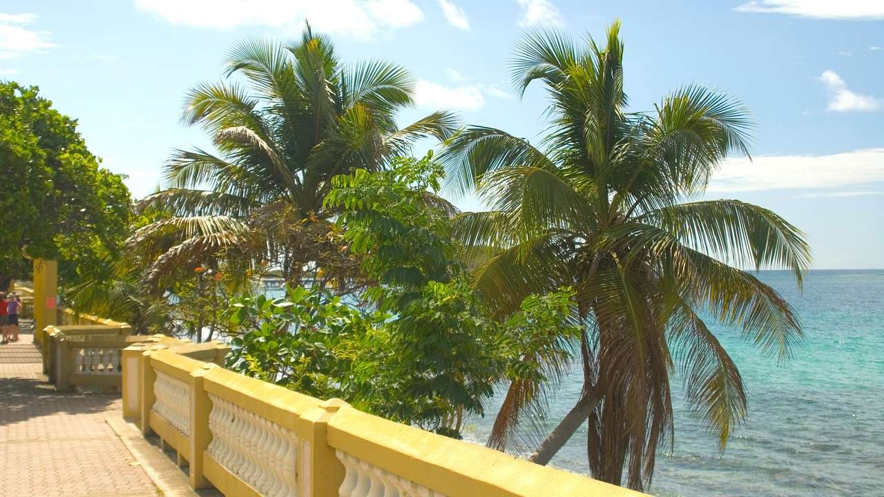 A path with a yellow and white wall with palm trees and the ocean on the other side