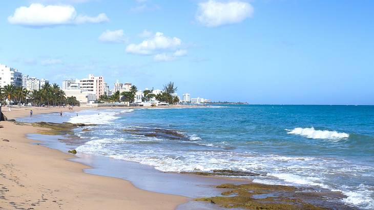 Ocean waves washing onto the shore with trees and buildings in the distance