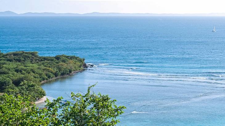 The ocean with greenery to the side and a boat sailing in the distance