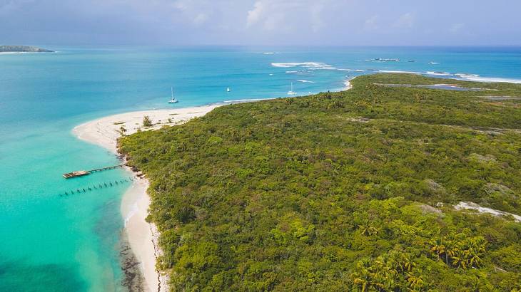 A greenery-covered island with turquoise water and white sand shores around it