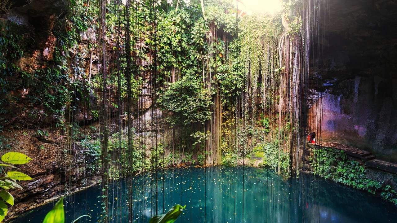 An underground cenote with greenery around it and sunlight shining in