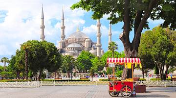 A red street cart against green trees and a mosque